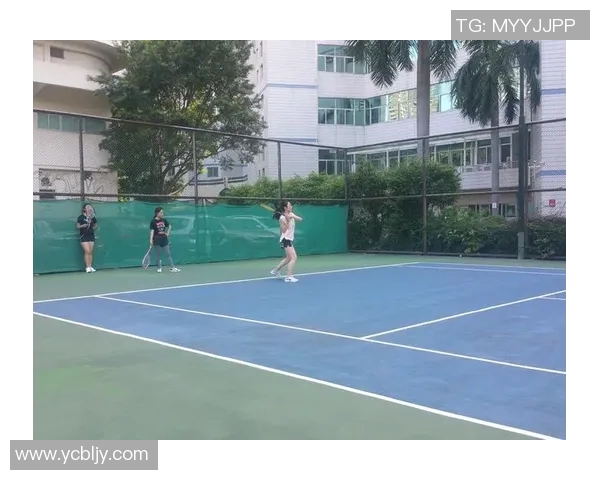 深圳排球队的节奏解析:深度探讨排球战术与团队协作的奥秘